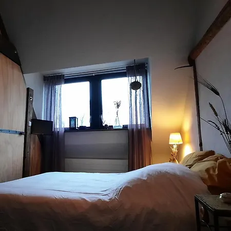 לינה וארוחת בוקר In Den Wijde Koe מאס-סלאוס